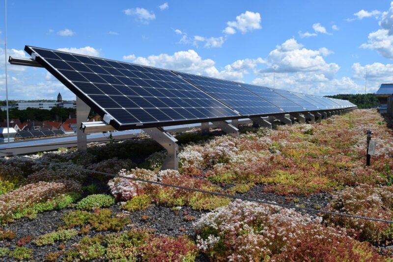 Eine Photovoltaikanlage auf einem Flachdach mit Pflanzen
