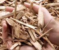 Im Bild eine Hand mit Holzschnitzeln als Symbol für die Merkblätter der EEW-Förderung.