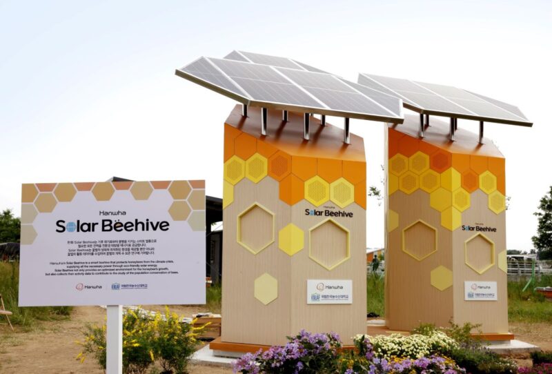 Zwei Bienestöcke mit Solarmodulen über den Dächern.