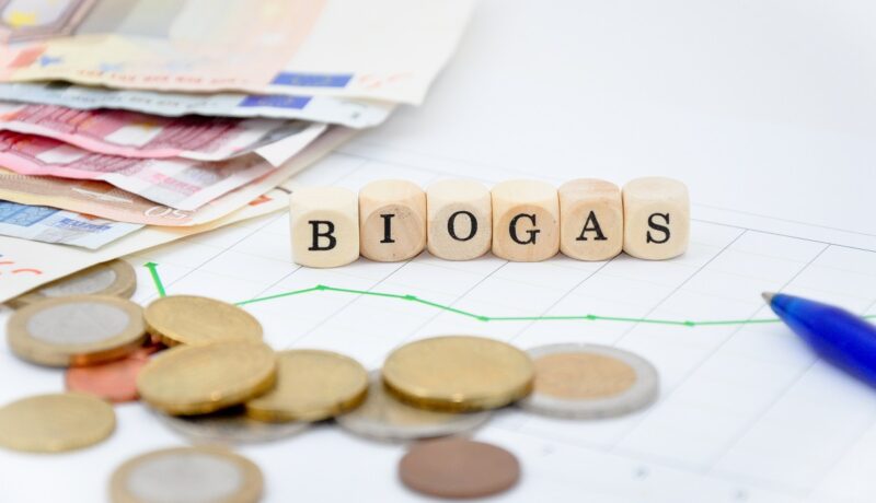 Würfel mit Aufschrift Biogas und Geld, das Strommengenmodell für Biogasanlagen soll die EEG-Vergütung regeln.