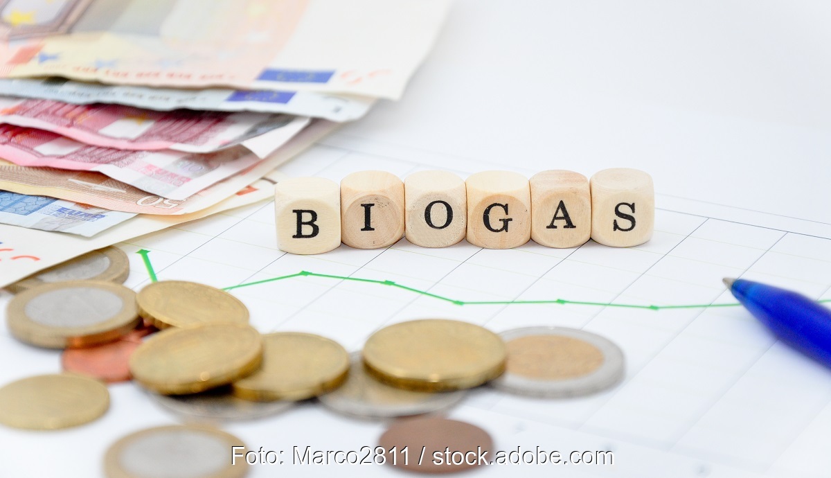 Würfel mit Aufschrift Biogas und Geld, das Strommengenmodell für Biogasanlagen soll die EEG-Vergütung regeln.