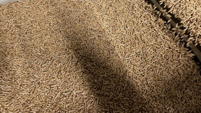 Holzpellets
