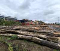 Holzlagerplatz mit Stämmen und Resten