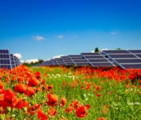 IBC Solar ermöglicht künftig die Beteiligung von Bürgern an seinen Photovoltaik-Solarparks und hat zu diesem Zweck eine eigene digitale Bürgerbeteiligungsplattform ins Leben gerufen.