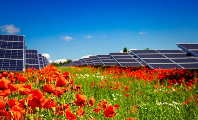 IBC Solar ermöglicht künftig die Beteiligung von Bürgern an seinen Photovoltaik-Solarparks und hat zu diesem Zweck eine eigene digitale Bürgerbeteiligungsplattform ins Leben gerufen.