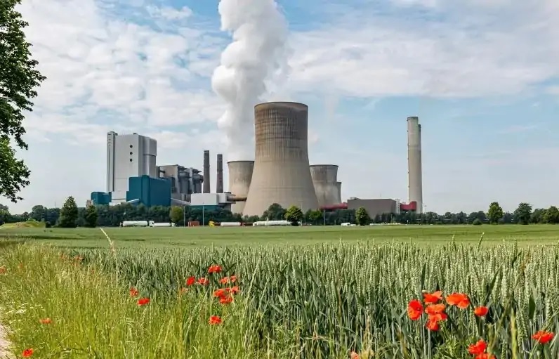 Großes Kohlekraftwerk mit mehreren Kühltürmen und Schornsteinen hinter einem Getreidefeld mit roten Mohnblumen. Aus einem Kühlturm steigt eine weiße Dampfwolke auf.