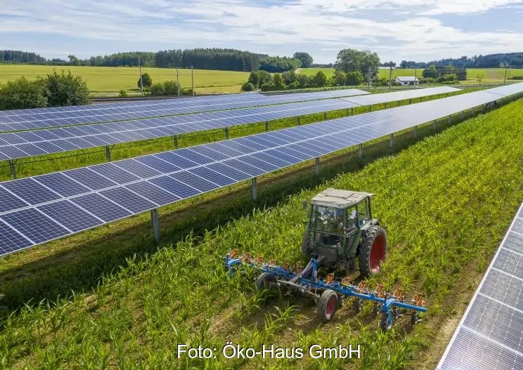 Zu sehen ist ein Mini-Traktor, der zwischen Reihen von Photovoltaik-Modulen das Land beackert.