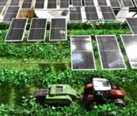 Zu sehen ist eine Agri-PV Anlage, das Thema ist Schwerpunkt auf der Messe Intersolar Europe.