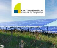 Zu sehen ist ein Ausschnitt aus dem Deckblatt der KNE-Broschüre „ Artenschutz in Solarparks optimieren“.