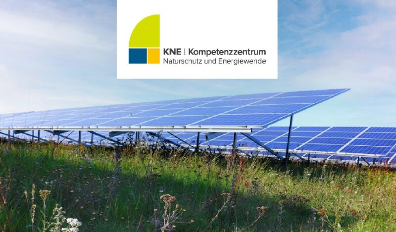 Zu sehen ist ein Ausschnitt aus dem Deckblatt der KNE-Broschüre „ Artenschutz in Solarparks optimieren“.
