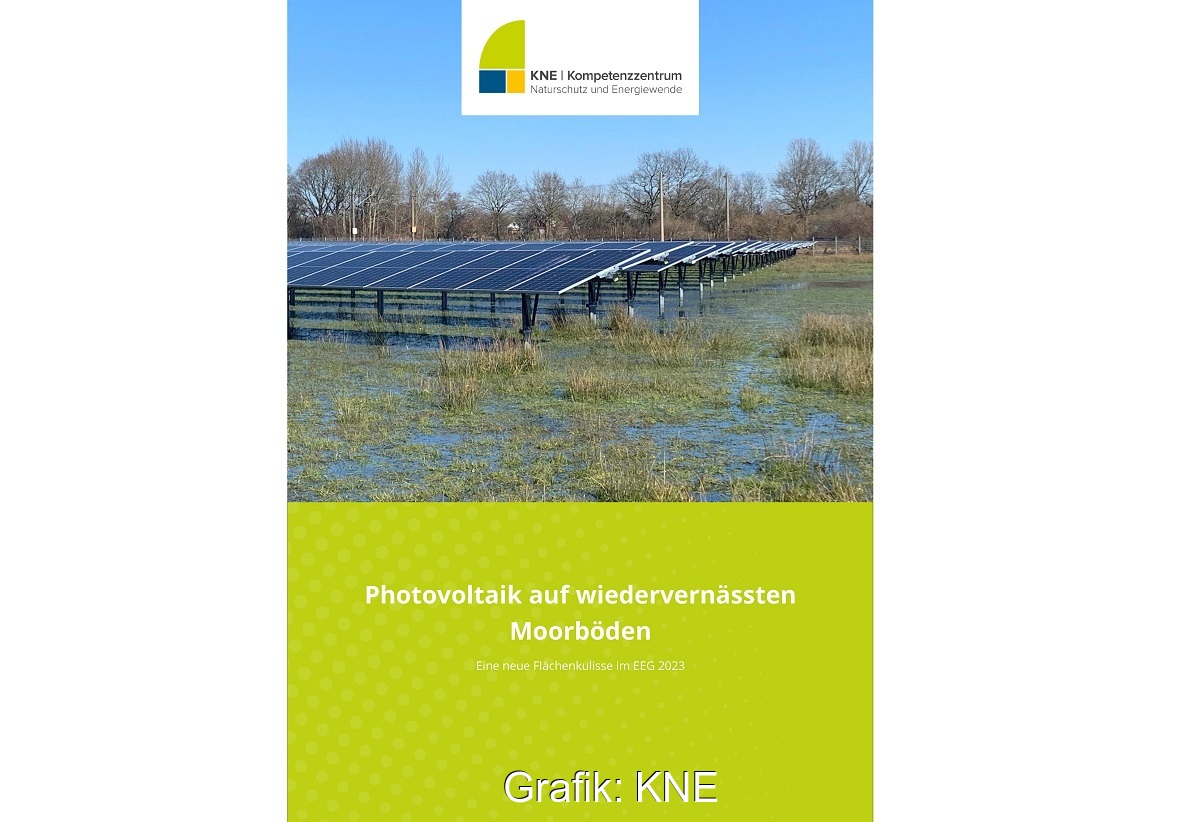 Das Kompetenzzentrum Naturschutz und Energiewende gGmbH (KNE) hat eine Publikation zum naturverträglichen Bau von Photovoltaik-Freiflächenanlagen auf wiedervernässten Moorböden veröffentlicht.