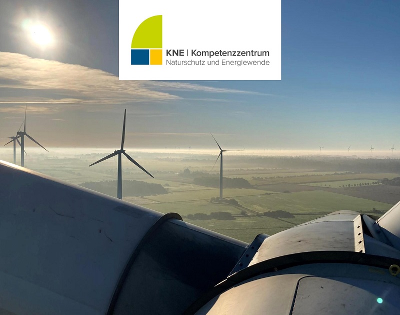 Zu sehen ist das Cover der Publikation für eine naturverträgliche Energiewende im Bereich Windenergie an Land.