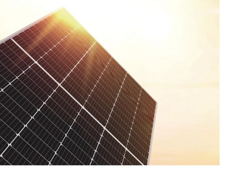 Zu sehen ist ein PV-Modul von LONGi. Das chinesische Unternehmen hat seinen Geschäftsbericht 2019 veröffentlicht.
