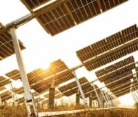 Aufgeständerte Longi-Solarmodule von unten im Gegenlicht fotografiert - Herstellung soll umfwertfreundlicher werden.