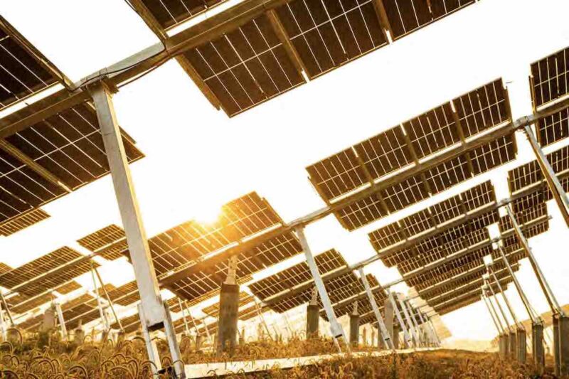 Aufgeständerte Longi-Solarmodule von unten im Gegenlicht fotografiert - Herstellung soll umfwertfreundlicher werden.
