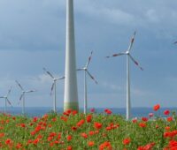 Windenergieanlagen im Bürgerenergie Windpark Druiberg in Sachsen-Anhalt mit Klatschmohn im Vordergrund.