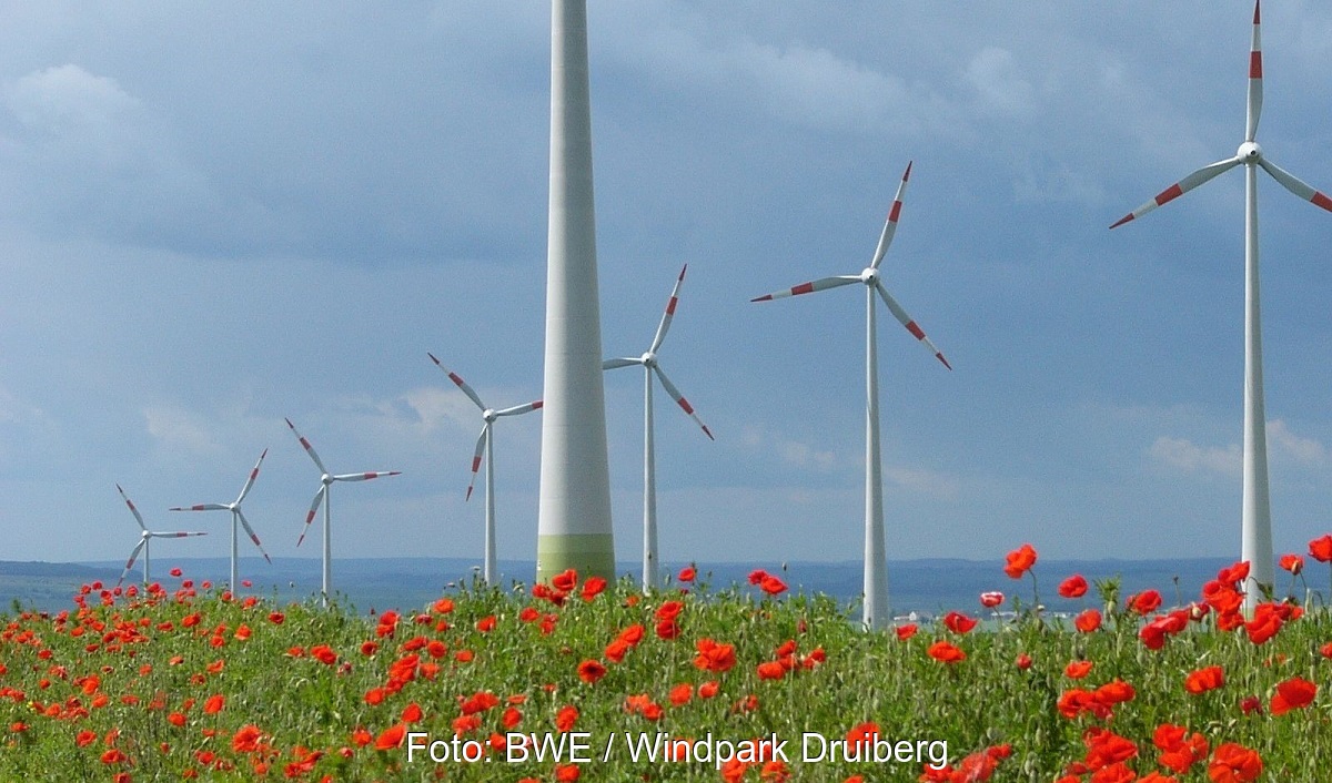 Windenergieanlagen im Bürgerenergie Windpark Druiberg in Sachsen-Anhalt mit Klatschmohn im Vordergrund.