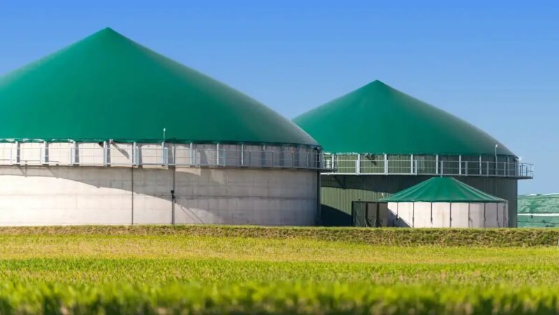 Hinter einen kurz gemähten, grünen Wiese liegt eine Biogasanlage mit zwei Fermentern vor einem blauen Himmel.