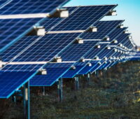 Eine Nahaufnahme zeigt eine Abfolge von aufgeständerten Solarmodulen auf der grünen Wiese