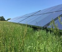 Ein solarthermisches Kollektorfeld auf einer Wiese.