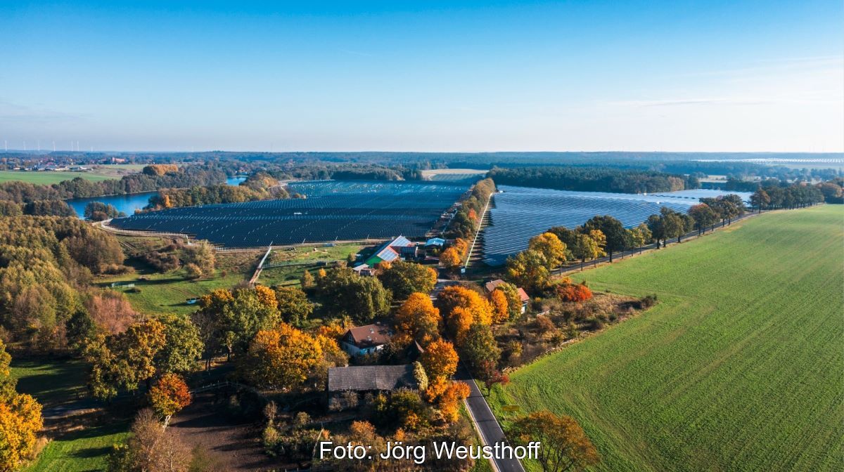 Luftbild einer Freiflächensolaranlage bei Sonnenschein und herbstlicher Stimmung.
