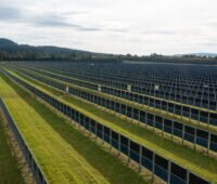 Zahlreiche Reihen senkrecht montierter Solarmodule stehen mit breiten Grünstreifen dazwischen auf einer landwirtschaftlichen Fläche in Donaueschingen-Aasen.