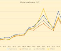 Diagramm zeigt die Entwicklung vom Monatsmarktwert Solar vom Januar 2021 bis April 2022.