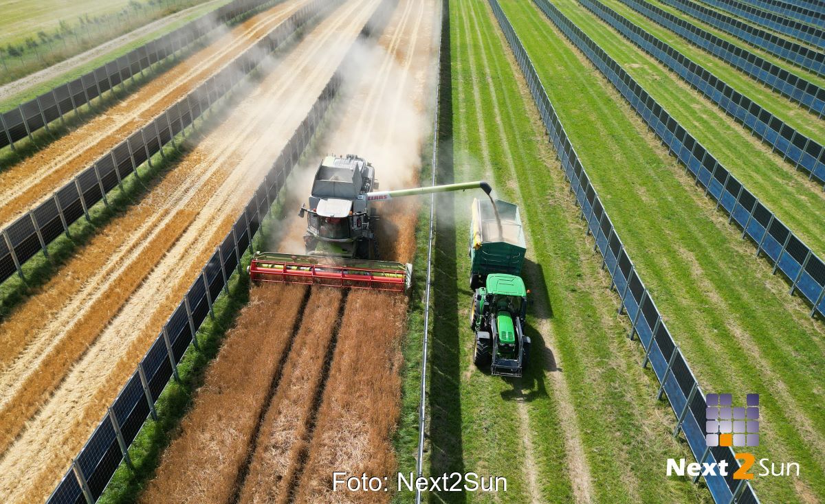 Traktoren zwischen Reihen von vertikalen Agri-PV-Modulen