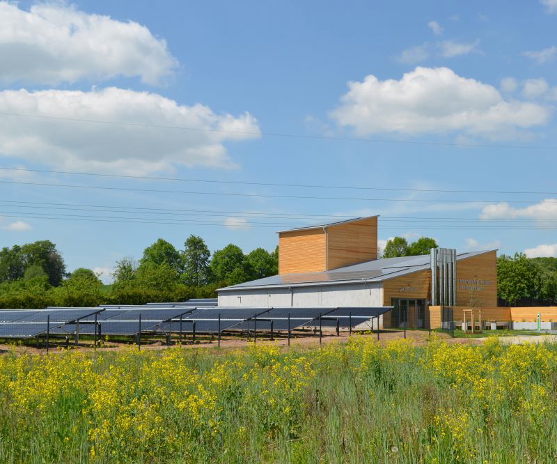 Eine Nahwärmezentrale mit Solarthermieanlage inmitten einer Wiese mit gelben Blumen