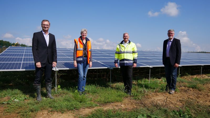 4 Personen vor einem Solarkraftwerk bei blauem Himmel.