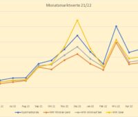 Zu sehen ist ein Diagramm, das die Entwicklung vom Monatsmarktwert Solar vom Juni 2021 bis Mai 2022 zeigt.