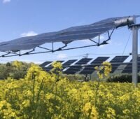 Im Bild eine Agri-PV-Anlage von REM Tec, einem der Gründungsmitglieder vom Bundesverband für nachhaltige Agri-PV