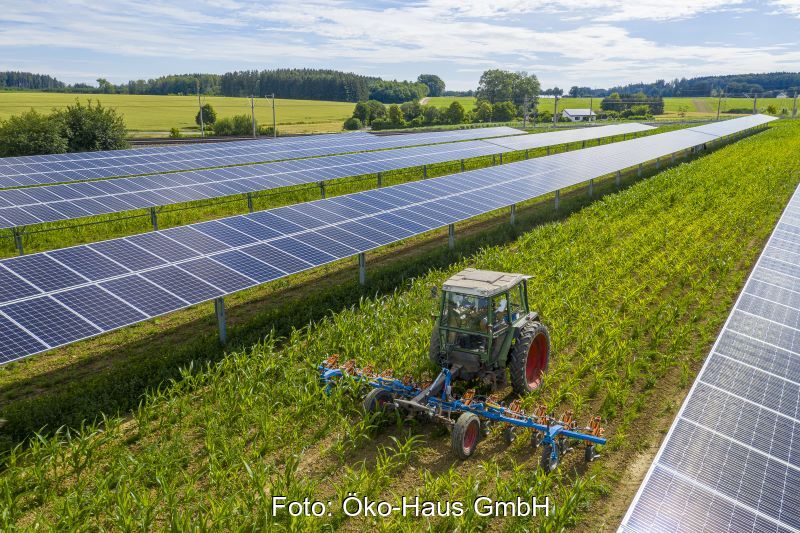 Aufgeständerte Solarmodulreihen beschatten eine Agrarfläche, dazwischen fährt ein Traktor.
