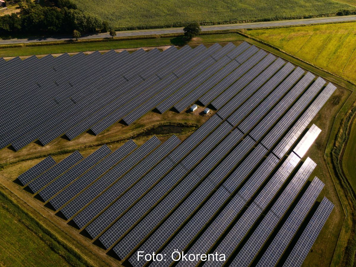 Luftbild eines Freiflächensolarparks