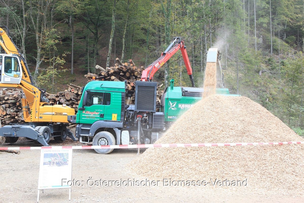 Zu sehen ist die Produktion von Hackschnitzeln im Wald. Durch die „Raus aus Öl und Gas“-Förderung boomen Holzkessel in Österreich.