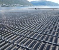 Vertikal stehende PV-Module auf einem Hafengebäude am Rande eines Fjords.
