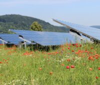Im Bild eine Photovoltaik-Freiflächenanlage, der Solarausbau in Baden-Württemberg stützt sich auf dieses Segment.