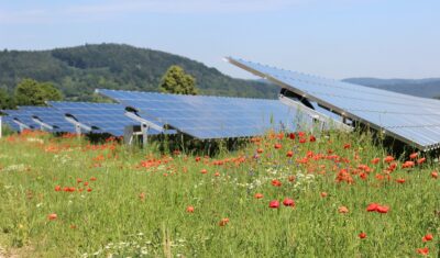 Im Bild eine Photovoltaik-Freiflächenanlage, der Solarausbau in Baden-Württemberg stützt sich auf dieses Segment.