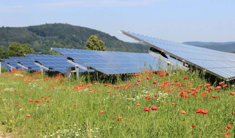 Im Bild eine Photovoltaik-Freiflächenanlage, der Solarausbau in Baden-Württemberg stützt sich auf dieses Segment.