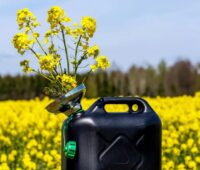 Im Bild ein Rapsfeld mit Kanister als Symbol für die CO2-Bepreisung von Emissionen aus Landnutzungsänderungen zur Herstellung der Biokraftstoffe.
