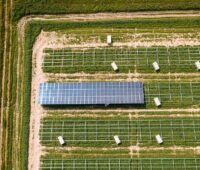 Ein Solarpark in der Entstehung, Abo Energy bietet EPC-Dienstleistungen für Photovoltaik und Batterie-Hybridprojekte an.