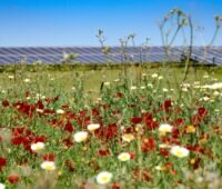 Im Bild ein Solarpark von Baywa re, das Unternehmen hat ein Photovoltaik-Solarportfolio in Großbritannien verkauft.