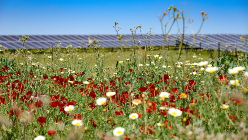 Im Bild ein Solarpark von Baywa re, das Unternehmen hat ein Photovoltaik-Solarportfolio in Großbritannien verkauft.