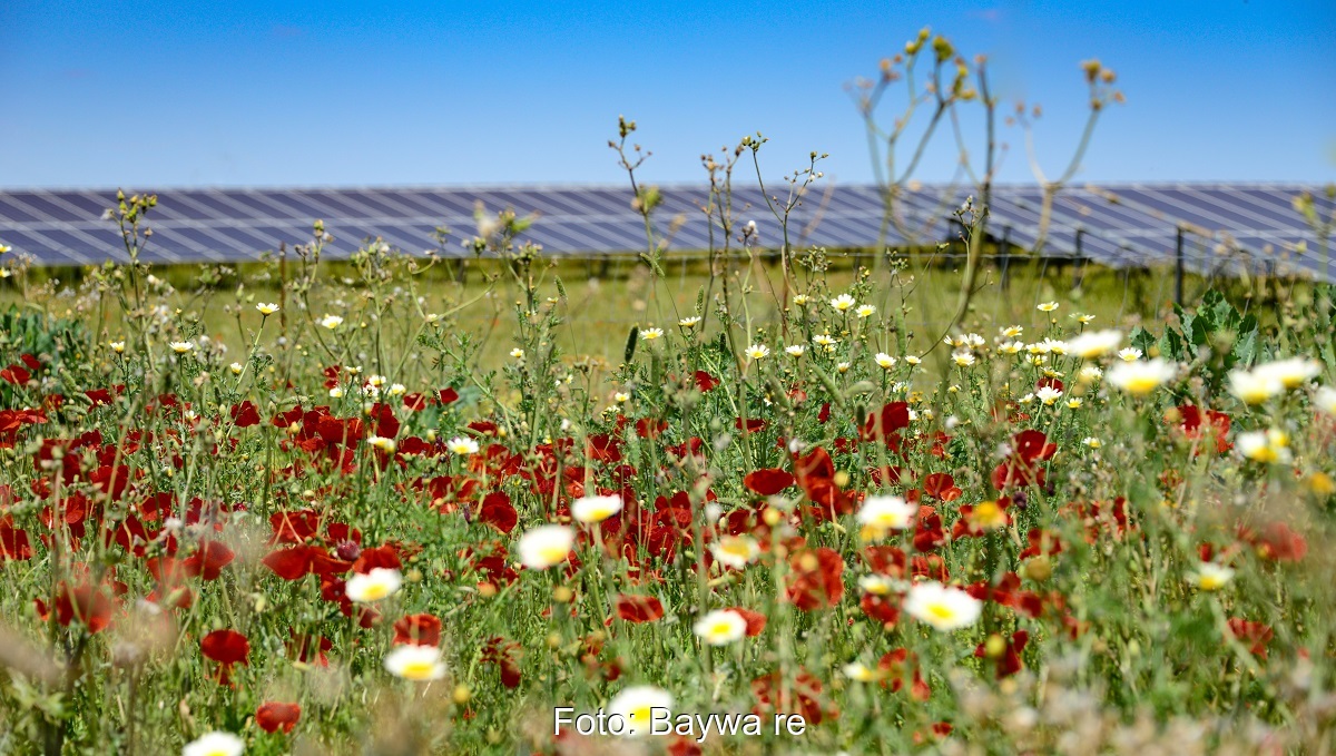 Im Bild ein Solarpark von Baywa re, das Unternehmen hat ein Photovoltaik-Solarportfolio in Großbritannien verkauft.