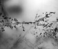 Schwarze Strukturen in einem Perowskit-Kristall, Silber macht das Netzwerk aus ladungstrennenden Domänenwänden sichtbar, das die Perowskit-Solarzellen so effektiv macht.