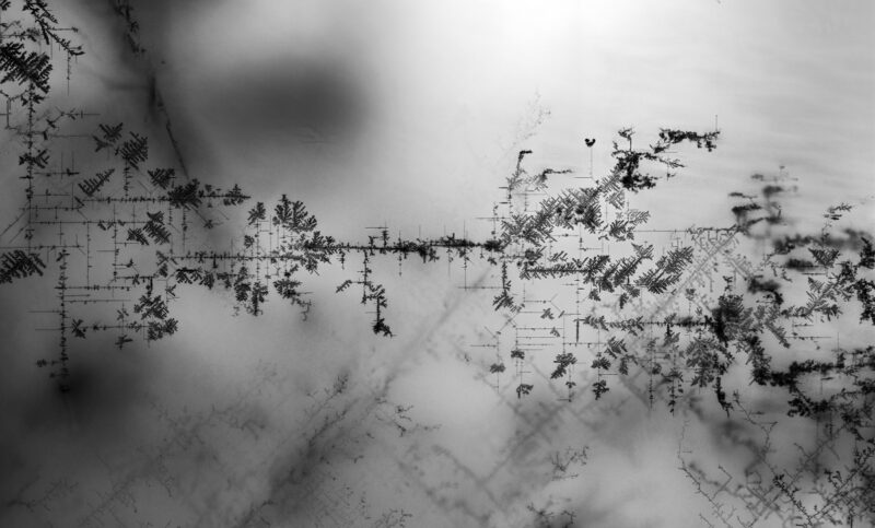 Schwarze Strukturen in einem Perowskit-Kristall, Silber macht das Netzwerk aus ladungstrennenden Domänenwänden sichtbar, das die Perowskit-Solarzellen so effektiv macht.