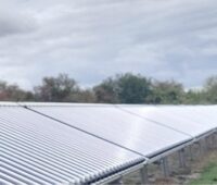Eine Reihe von Vakuumröhrenkollektoren auf der grünen Wiese, die Solarthermie-Freiflächenanlage versorgt die Nahwärme in Waldalgesheim.