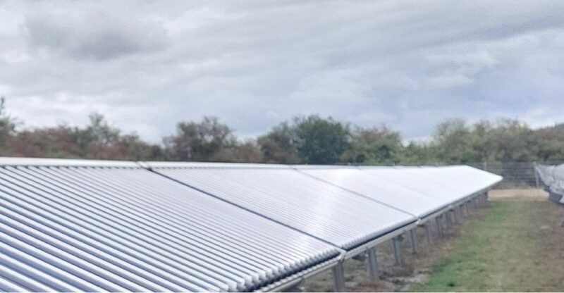 Eine Reihe von Vakuumröhrenkollektoren auf der grünen Wiese, die Solarthermie-Freiflächenanlage versorgt die Nahwärme in Waldalgesheim.