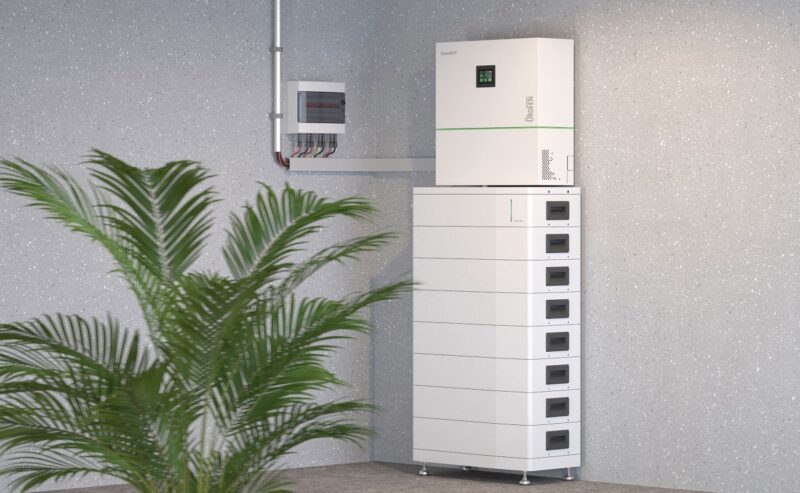 Das Heim-Energiemanagementsystem (HEMS) Greenbox von Ökofen auf dem neuen Batteriespeicher in einem Keller mit Palme.