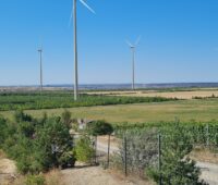 Windenergieanlagen neben Weinreben, so soll der Windpark Kausche 1 auf der Fläche des ehemaligen Tagebaus Welzow-Süd mal aussehen.